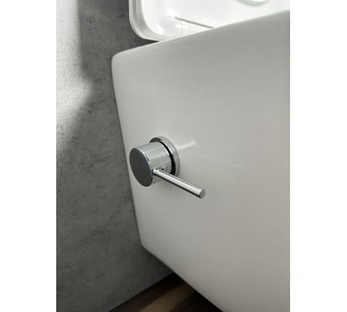 Подвесной унитаз Roxen Antares Bidet Tornado 530185-01XT Rimless Soft Close с функцией биде Подвесной унитаз Roxen Antares Bidet Tornado 530185-01XT Rimless Soft Close с функцией биде