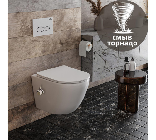 Подвесной унитаз Roxen Antares Bidet Tornado 530185-01XT Rimless Soft Close с функцией биде Подвесной унитаз Roxen Antares Bidet Tornado 530185-01XT Rimless Soft Close с функцией биде