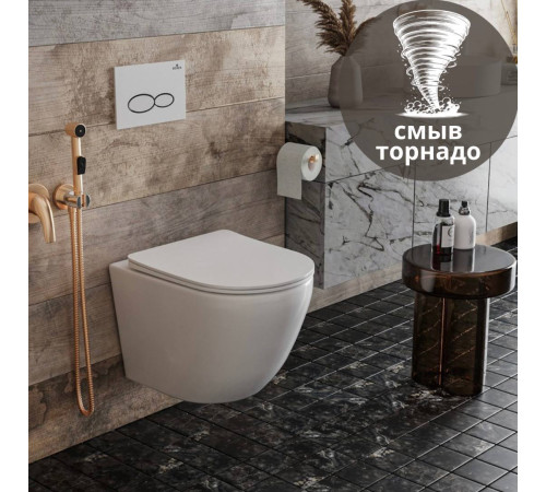 Подвесной унитаз Roxen Antares Tornado 530205-01 Rimless Soft Close Подвесной унитаз Roxen Antares Tornado 530205-01 Rimless Soft Close