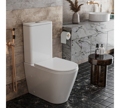 Напольный унитаз Roxen Wailet Tornado 600175-01 Rimless Soft Close Напольный унитаз Roxen Wailet Tornado 600175-01 Rimless Soft Close