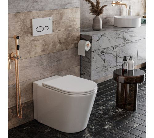 Приставной унитаз Roxen Antares 650185-01 Rimless Soft Close Приставной унитаз Roxen Antares 650185-01 Rimless Soft Close