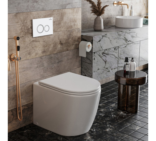 Система инсталляции для приставного унитаза 3 в 1 Roxen Attach 884103  Система инсталляции для приставного унитаза 3 в 1 Roxen Attach 884103