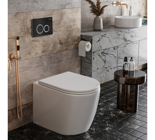 Система инсталляции для приставного унитаза 3 в 1 Roxen Attach 885069  Система инсталляции для приставного унитаза 3 в 1 Roxen Attach 885069