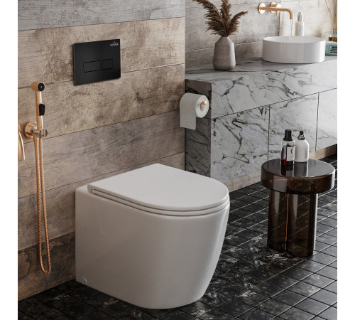 Система инсталляции для приставного унитаза 3 в 1 Roxen Attach 922094  Система инсталляции для приставного унитаза 3 в 1 Roxen Attach 922094