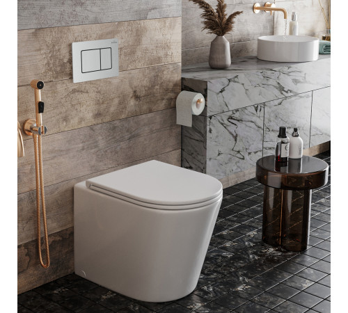 Комплект инсталляции для приставного унитаза 5 в 1 Roxen Attach 968412 Комплект инсталляции для приставного унитаза 5 в 1 Roxen Attach 968412