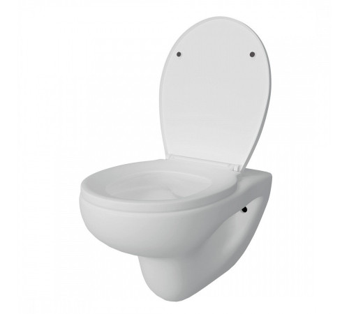 Комплект: инсталляция Grohe Solido 38811KF0 с черной кнопкой и подвесным унитазом Teymi Hanna Pro T40901