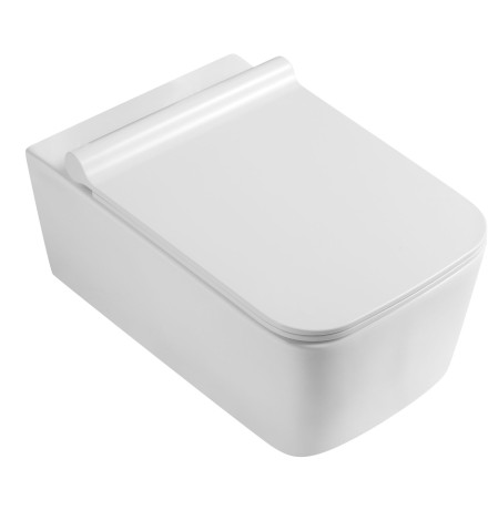 Подвесной унитаз Uptrend Accord Rimless TR2122D