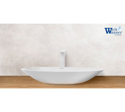 Умывальник WeltWasser WW Elbach 10255  (10000003857)