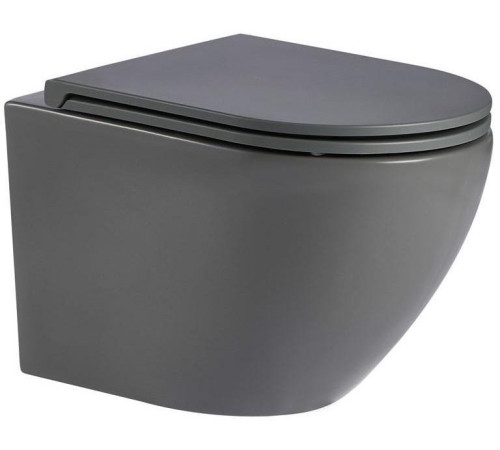 Подвесной унитаз WeltWasser Merzbach 043 MT-GR (10000009941)