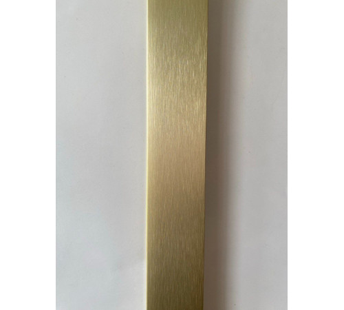 Душевая стенка Adema Реген Золото Браш-100 Walk-in прозрачное стекло/брашированное золото (УТ-00002232)