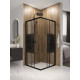 Душевой уголок Domani-Spa Shape 2 99 без поддона (DS04Sp99(2)L0St00.Gt-Black)