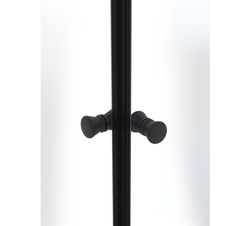 Душевой уголок Domani-Spa Shape 2 99 без поддона (DS04Sp99(2)L0St00.Gt-Black)