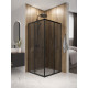 Душевой уголок Domani-Spa Shape 2 99 без поддона (DS04Sp99(2)L0T00.Gt-Black)