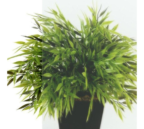 Душевой уголок Triton Вента Блэк А1 100х100 с поддоном (000001918)