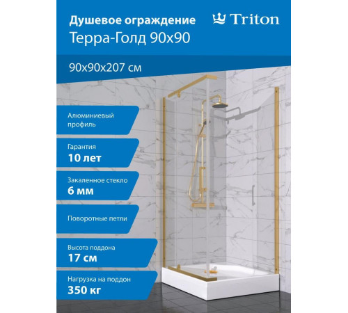 Душевой уголок Triton Терра Голд 90х90 с поддоном (000003358)