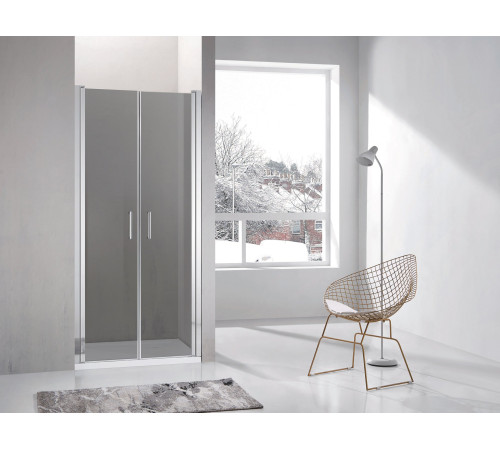 Душевая дверь Adema НАП ДУО / NAP-DUO 90x195 тонированное стекло (000001075)