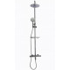 Душевая стойка WeltWasser WW TS 6270 (10000001733) с термостатом хром