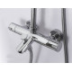 Душевая стойка WeltWasser WW TS 6270 (10000001733) с термостатом хром