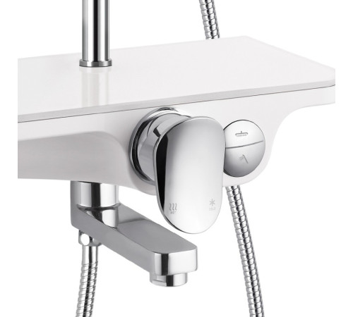 Душевая стойка WeltWasser WW DP 1020 WT (10000003185) белый