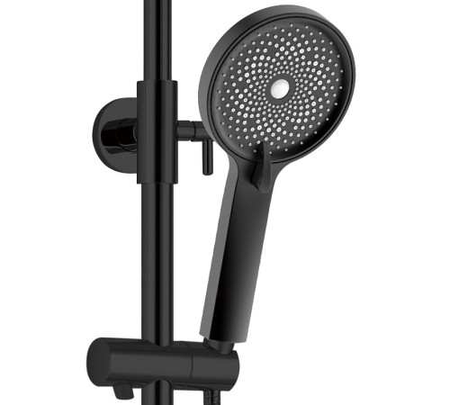 Душевая стойка WeltWasser WW DP 1020 BL (10000003186) черная