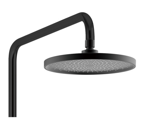 Душевая стойка WeltWasser WW DP 1020 BL (10000003186) черная