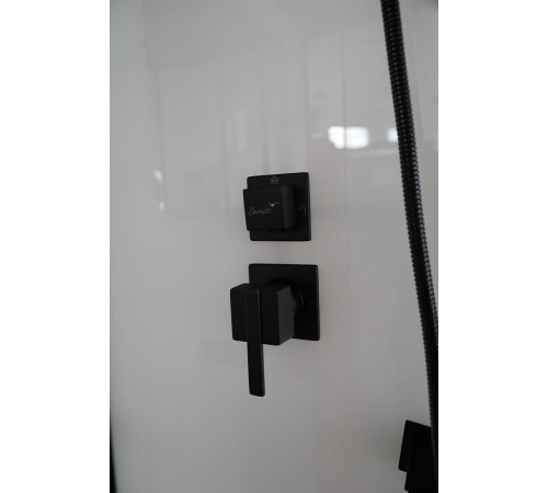 Душевая кабина Cerutti VIVA101B (100x100)