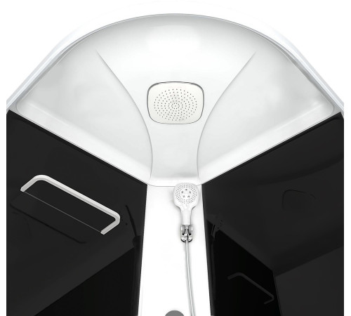 Душевая кабина Domani-Spa Delight 110 (DS01DS110LBT00) 100x100 тонированное стекло / черные стенки с крышей