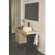 Смеситель для умывальника высокий    Ideal Standard   CERALINE Black     BC269XG 